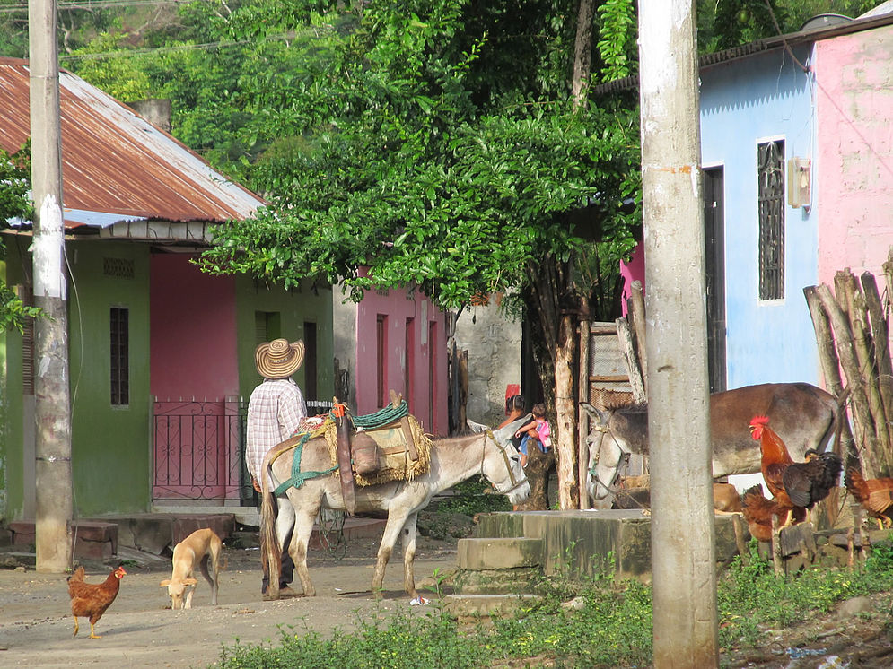 EL SALADO