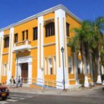 concejo distrital