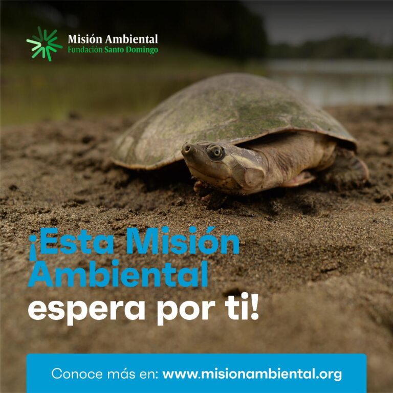 mision