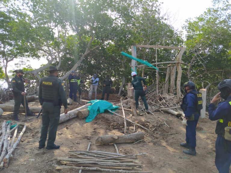 recuperan terreno
