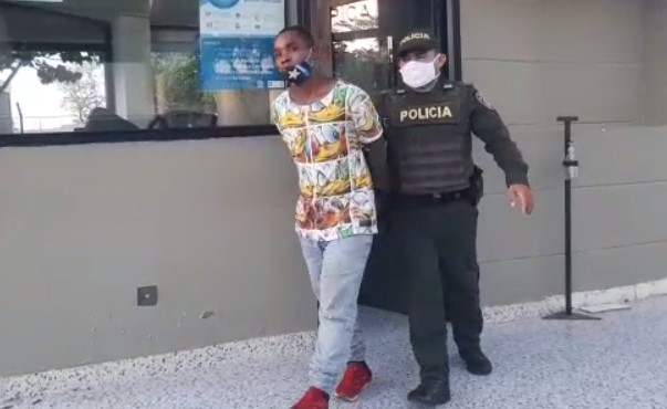 el pato donald