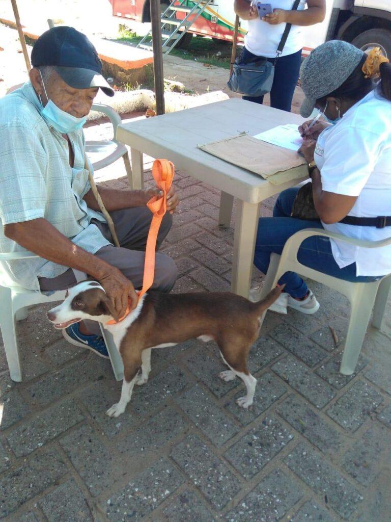 PERRO VACUNA
