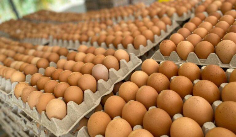 HUEVOS