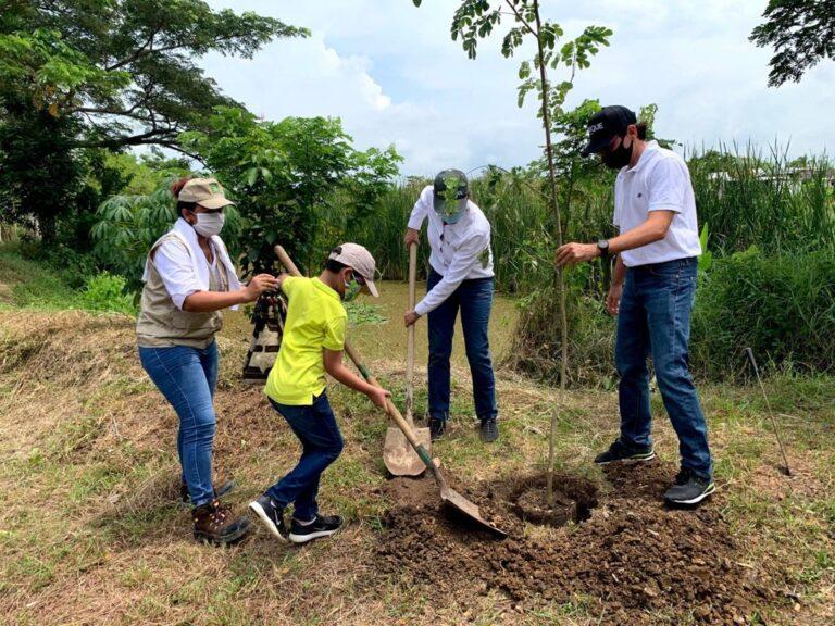FOTO CARDIQUE PLANTACION