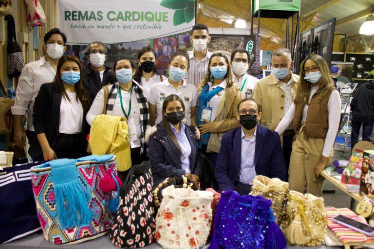 REMAS CARDIQUE