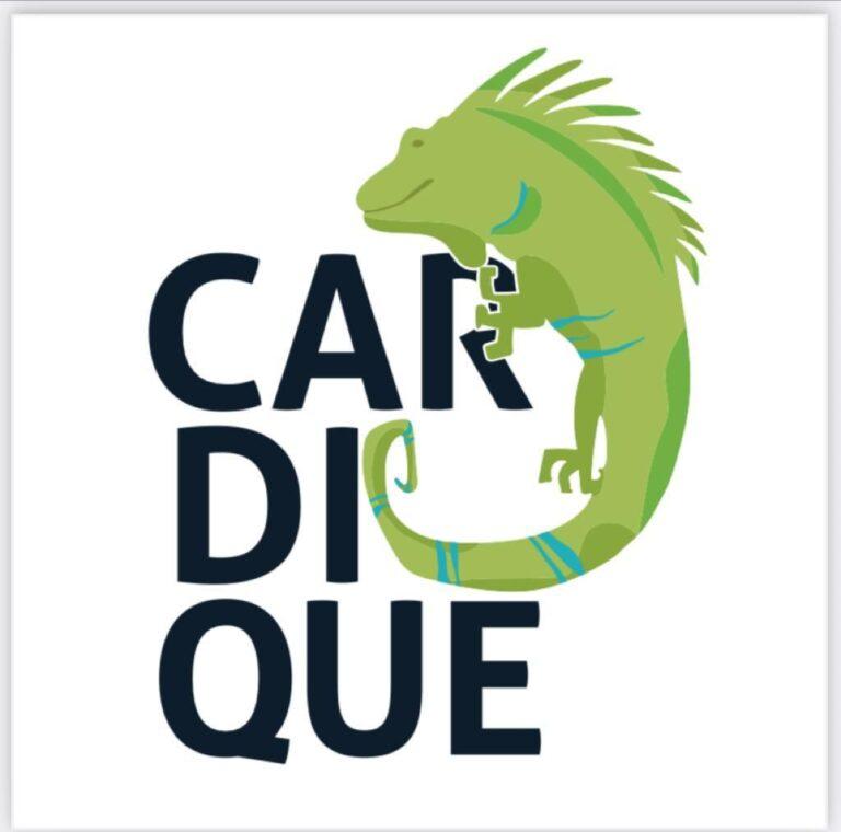 NUEVA IMAGEN DE CARDIQUE