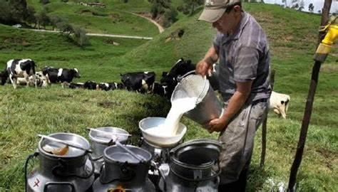 PRODUCTORES DE LECHE
