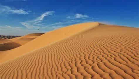POLVO DEL SAHARA