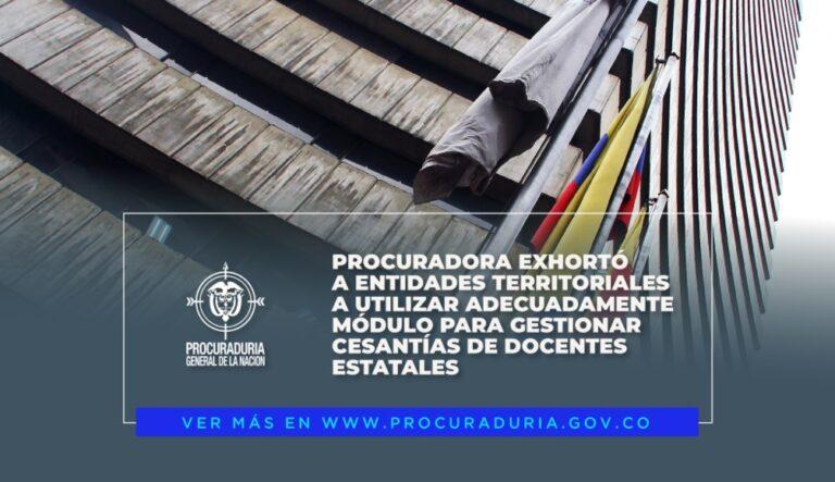DOCENTES