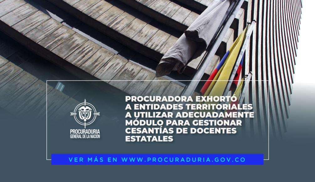 DOCENTES