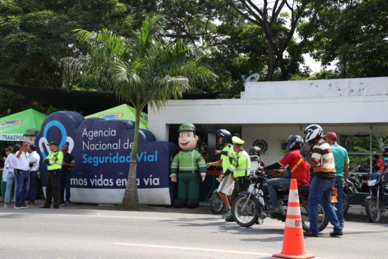 ACTIVIDAD VIAL