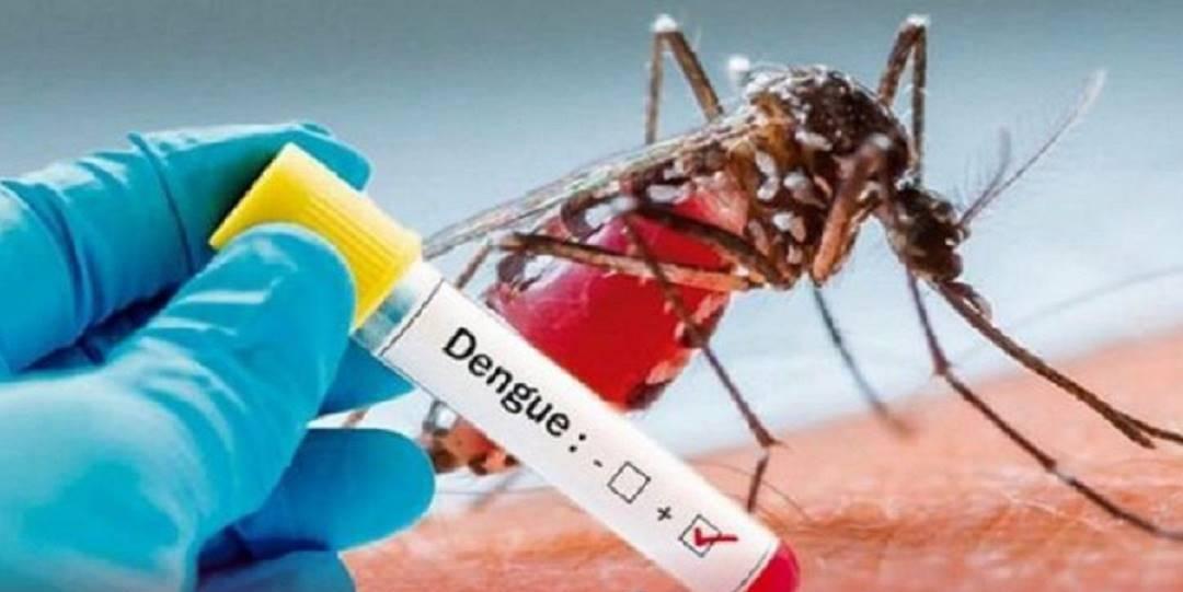 DENGUE EN CARTAGENA
