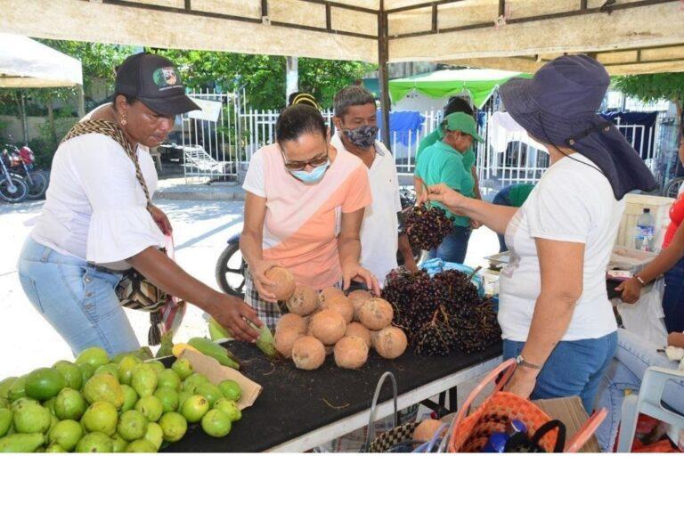 comprando corozo