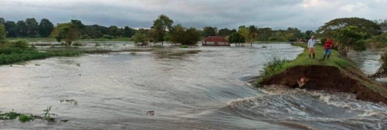 CAÑO DE MONO