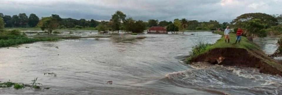 CAÑO DE MONO