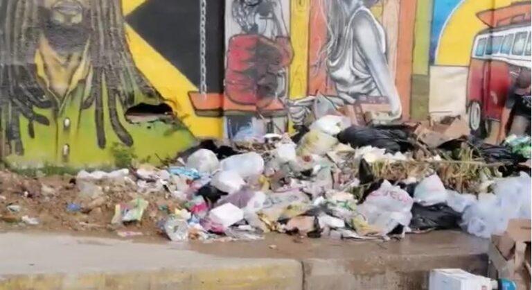 CONTAMINACION TRANSV 54