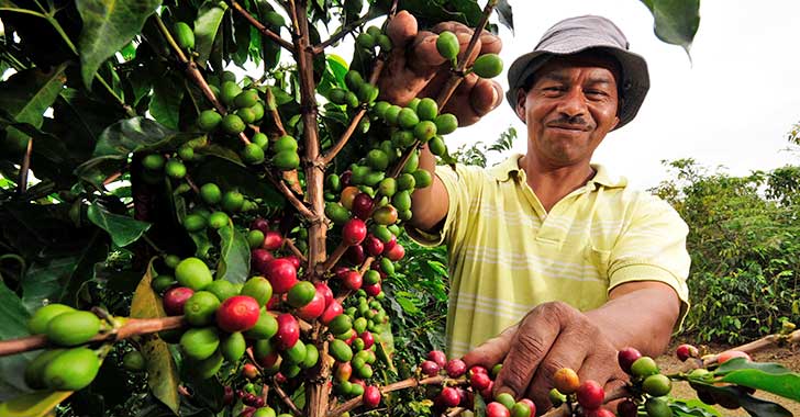 cafetero sonriendo