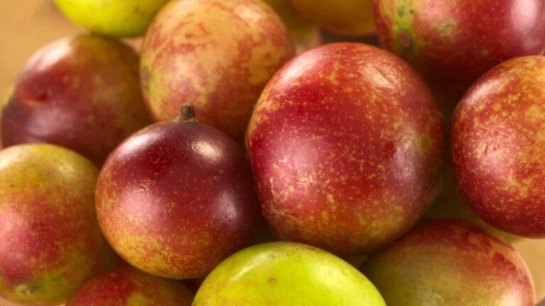 camu camu