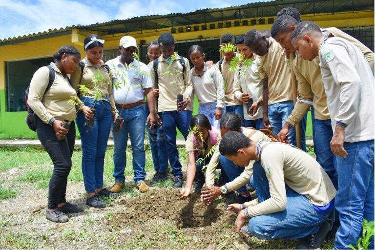 sembrando un arbol