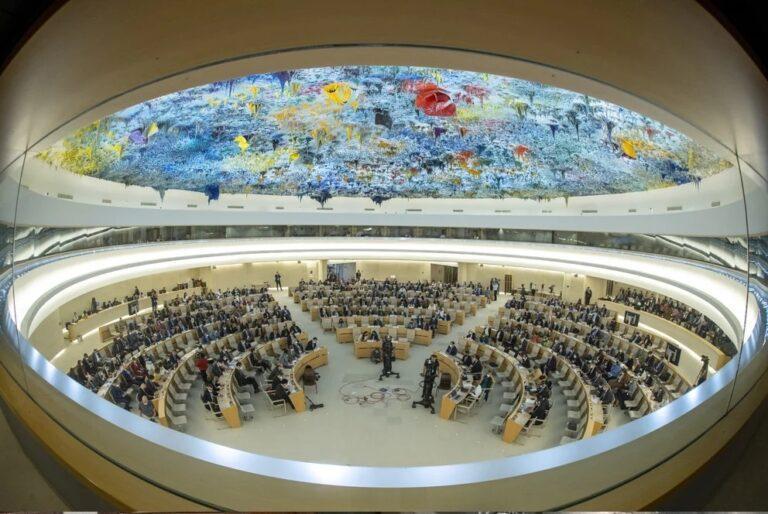 consejo de derechos humanos