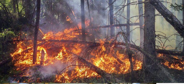 incendios