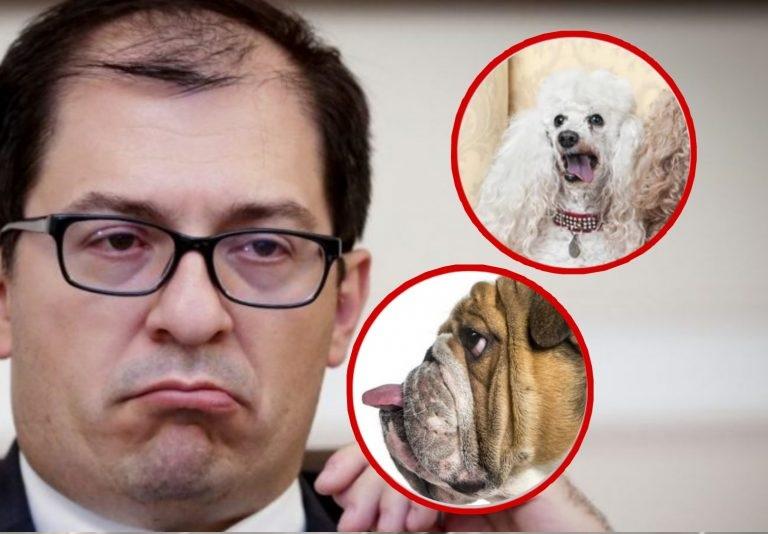 los perritos del fiscal