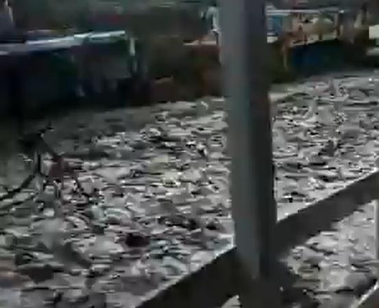 RIOS EN VENEZUELA