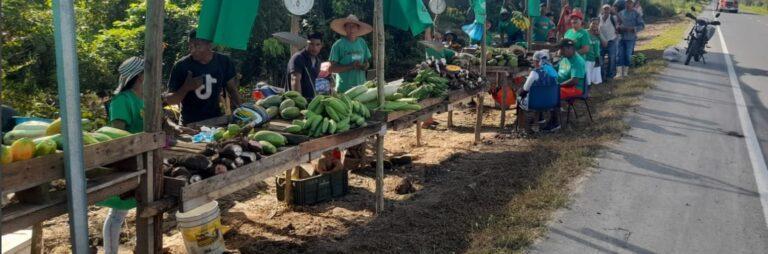 mercado campesino