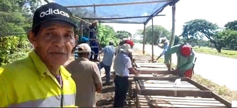mercado campesino