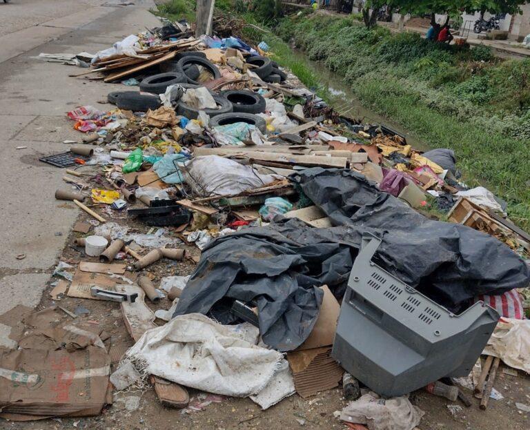 imagen esova del dia