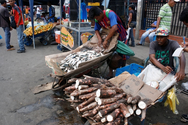 precio de la yuca