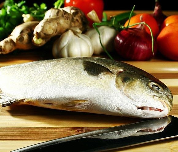 pescado en buen estado
