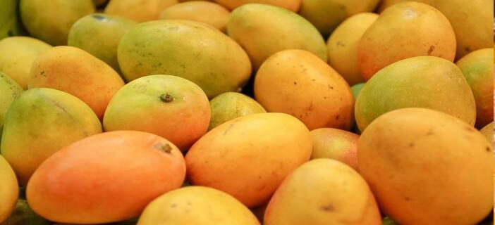 este si es el mango de azucar