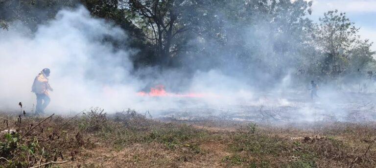 incendios forestales