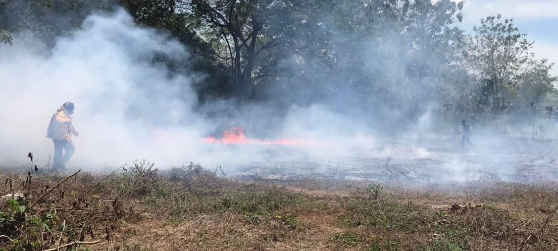 incendios forestales