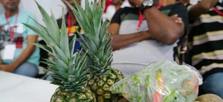 piña y aji