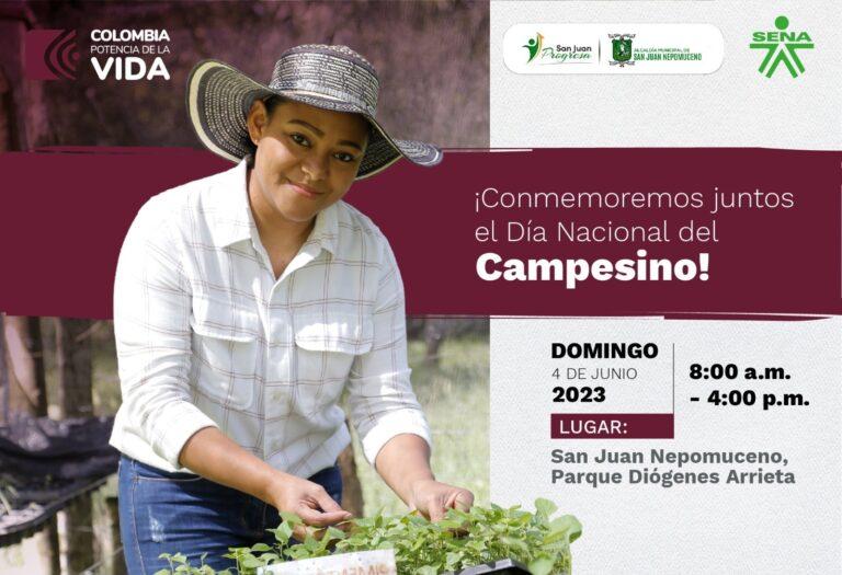 campesino okok