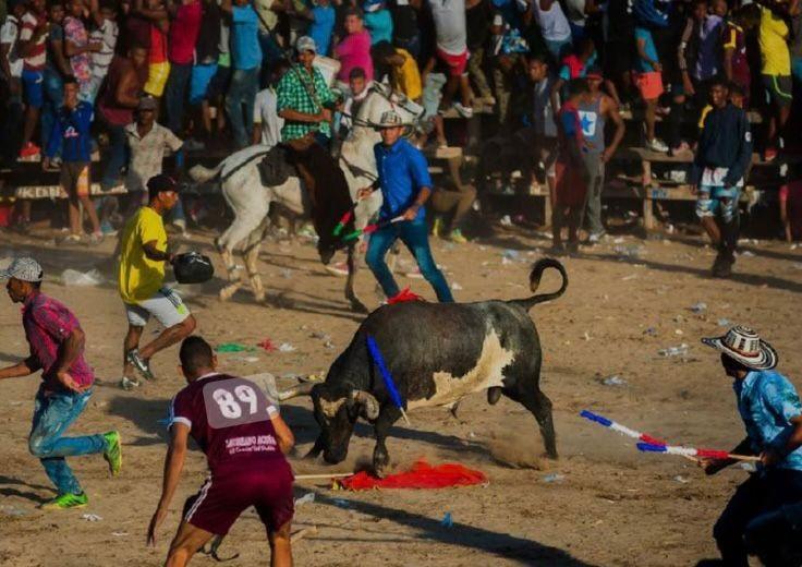 toros zaith