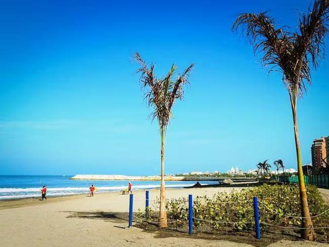 playa 5 ok