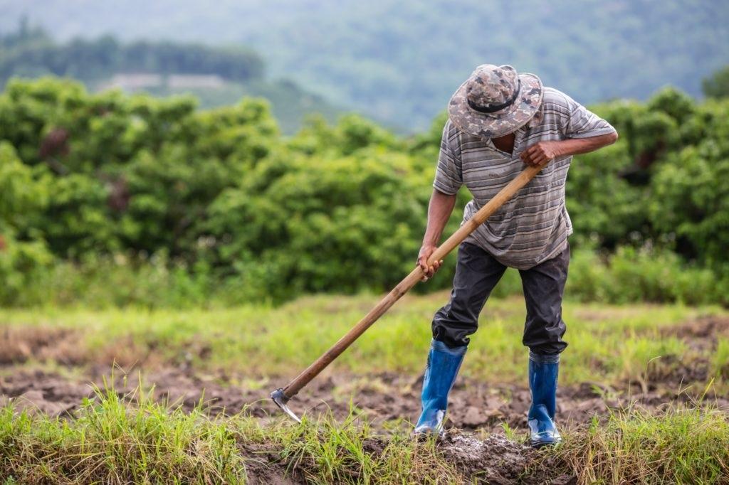 campesino en turbaco