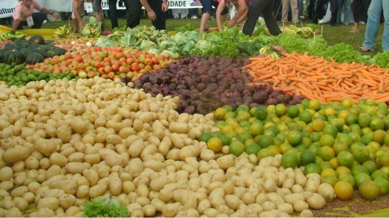 exportaciones agricolas