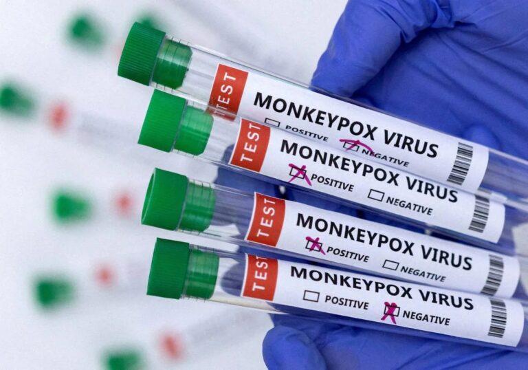 virus del mono