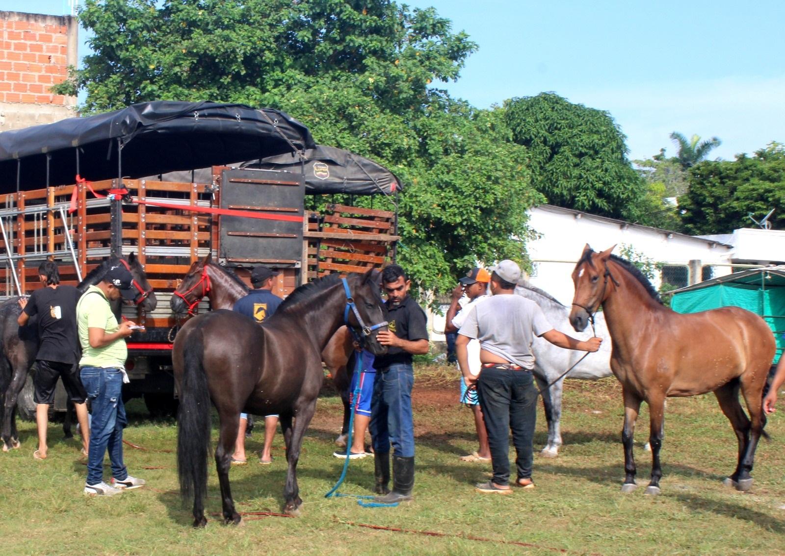 feria equina