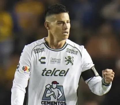 leones lider