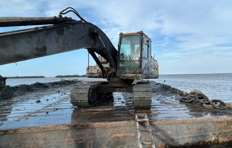 limpieza de descoles okok