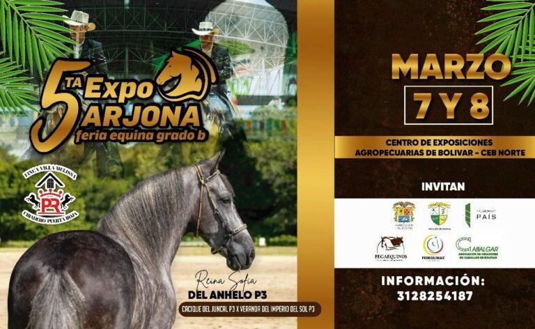 cemento pais - caballo