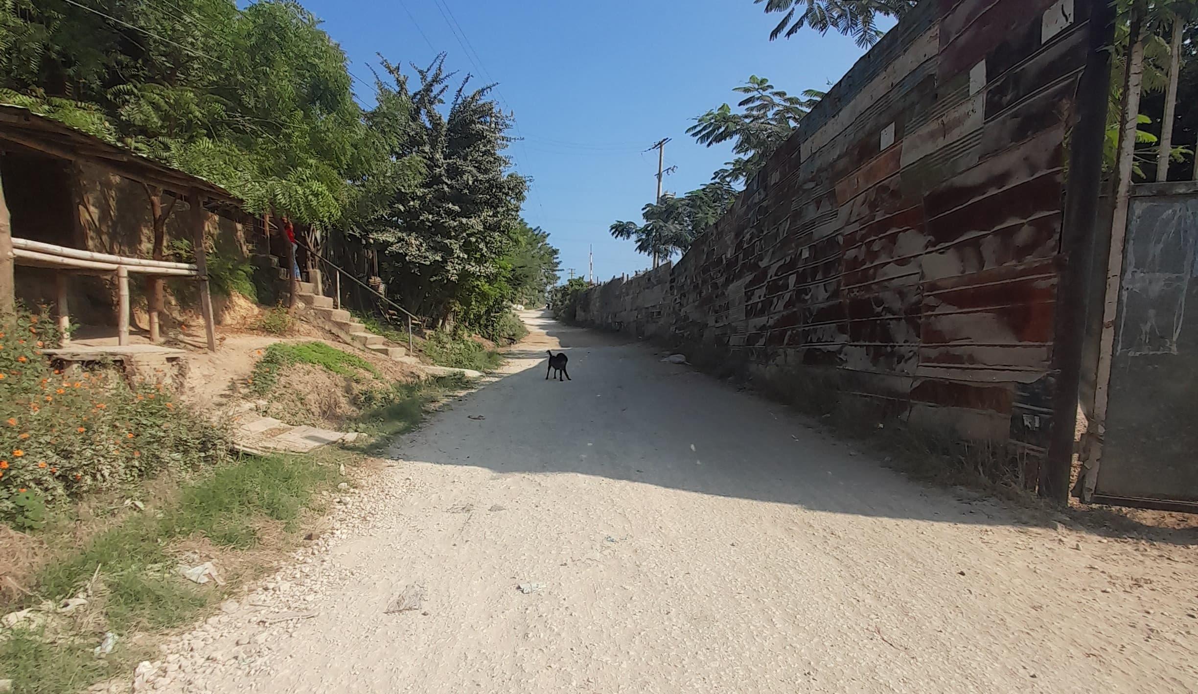 via de dumek