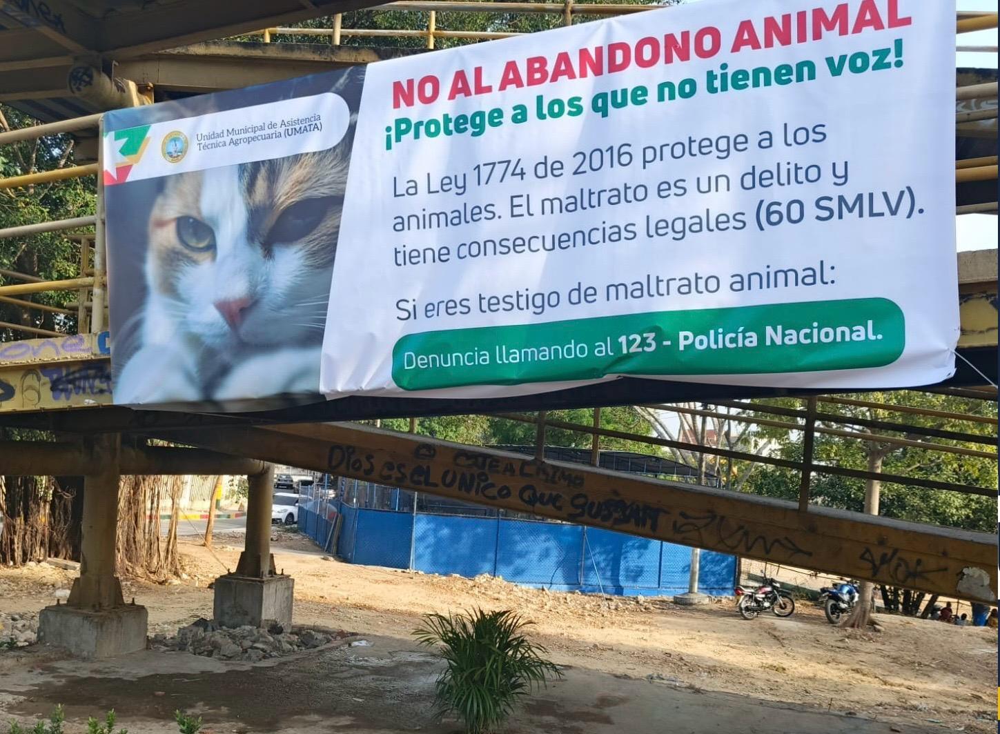 gaticos