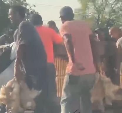 se multiplican los pollos
