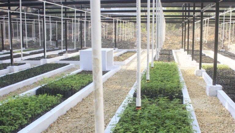 vivero bioclimatico ok